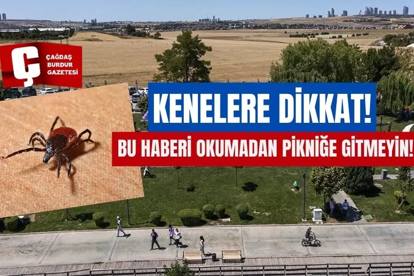 KENELER KESİNLİKLE ÇIPLAK ELLE ÖLDÜRÜLMEMELİ VE PATLATILMAMALI