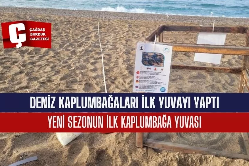 DENİZ KAPLUMBAĞALARI İLK YUVAYI YAPTI