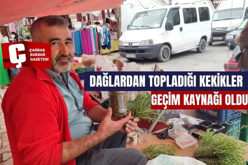 DAĞLARDAN TOPLADIĞI KEKİKLER GEÇİM KAYNAĞI OLDU