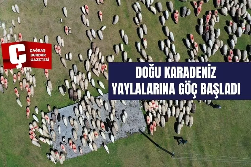 YAYLALARA GÖÇ BAŞLADI