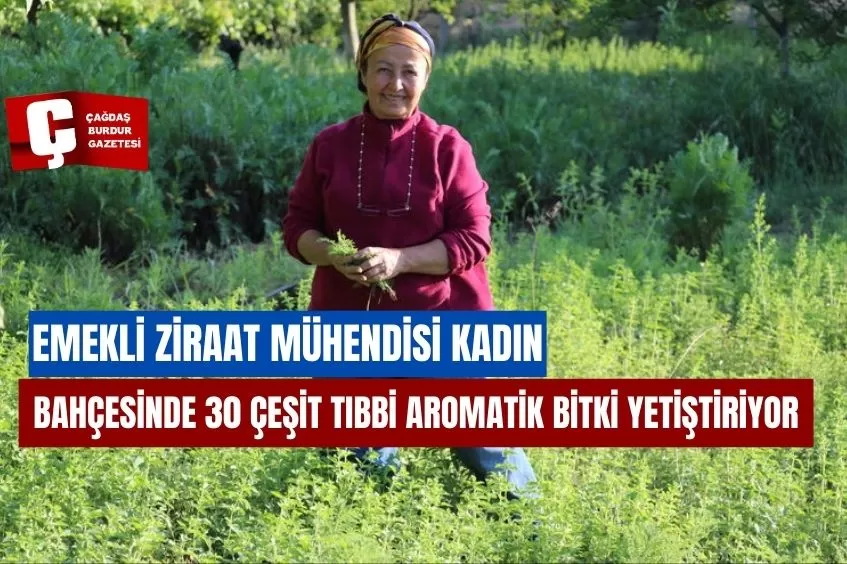 EMEKLİ ZİRAAT MÜHENDİSİ KADIN BAHÇESİNDE 30 ÇEŞİT TIBBİ AROMATİK BİTKİ YETİŞTİRİYOR