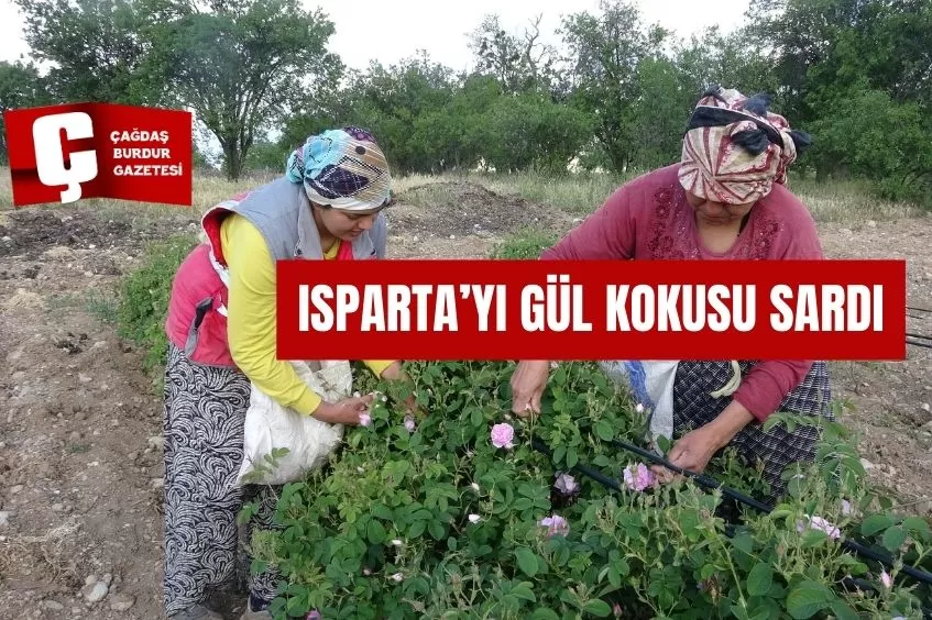 ISPARTA'YI GÜL KOKUSU SARDI 