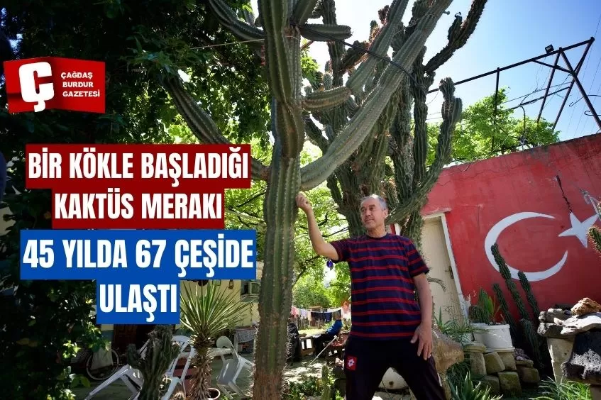 BİR KÖKLE BAŞLADIĞI KAKTÜS MERAKI 45 YILDA 67 ÇEŞİDE ULAŞTI