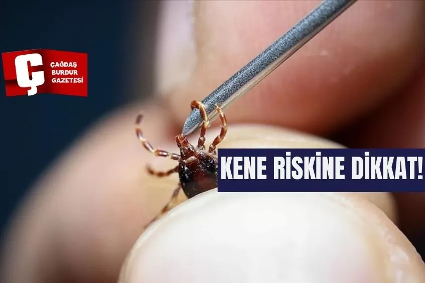 KENE RİSKİNE DİKKAT!