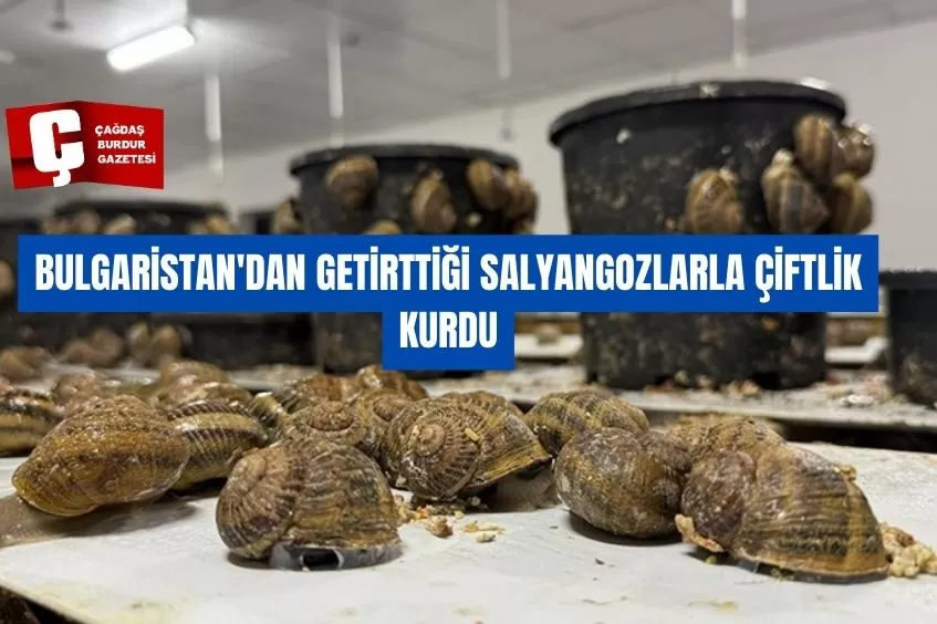 BULGARİSTAN'DAN GETİRTTİĞİ SALYANGOZLARLA ÇİFTLİK KURDU