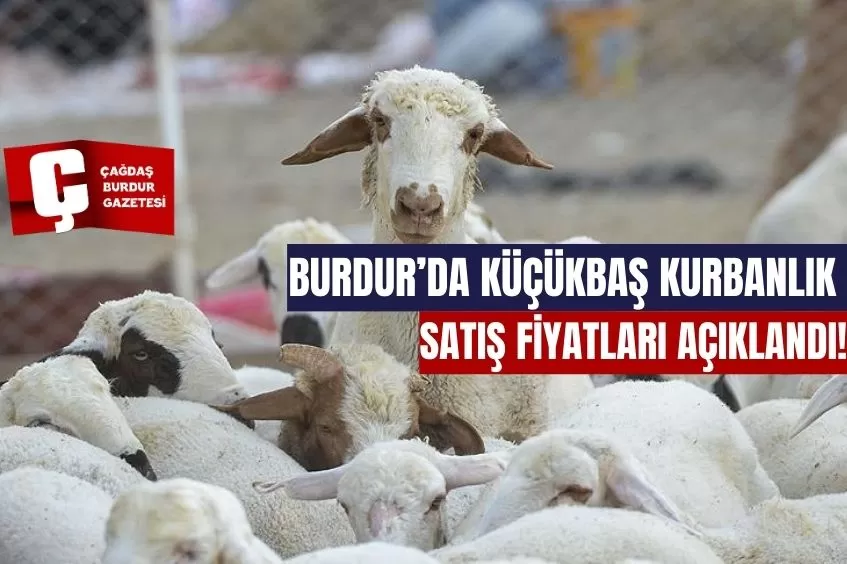 BURDUR'DA KÜÇÜKBAŞ KURBANLIK SATIŞ FİYATLARI AÇIKLANDI!