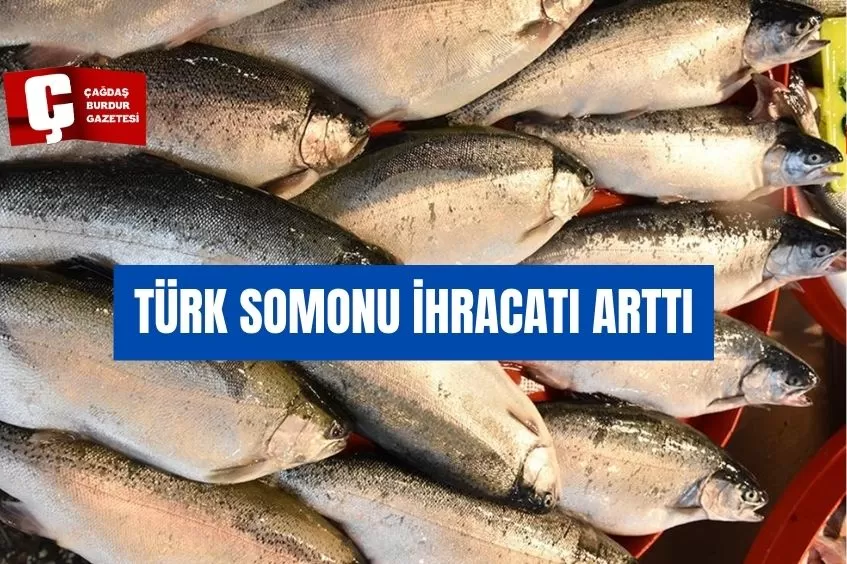 TÜRK SOMONU İHRACATI ARTTI