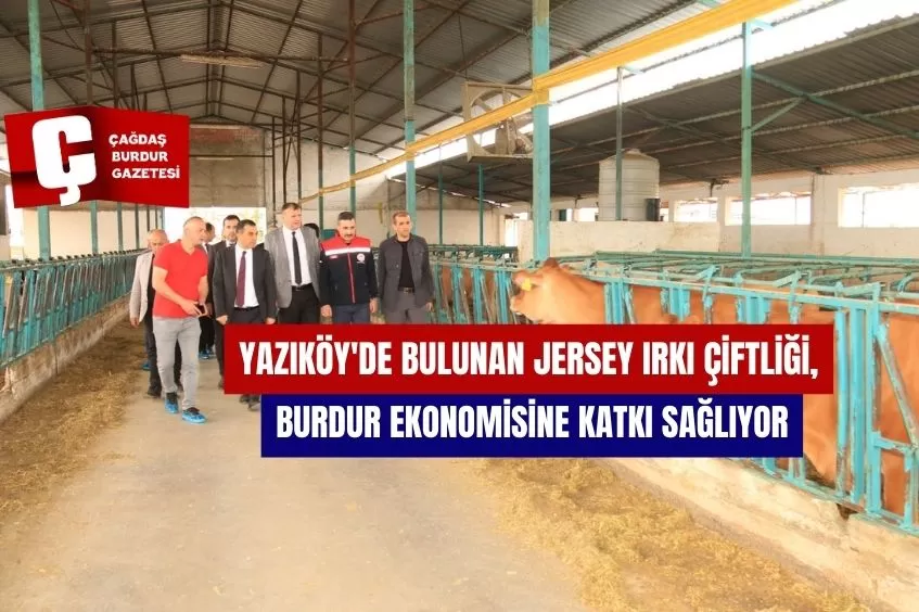 YAZIKÖY'DE BULUNAN JERSEY IRKI ÇİFTLİĞİ, BURDUR EKONOMİSİNE KATKI SAĞLIYOR