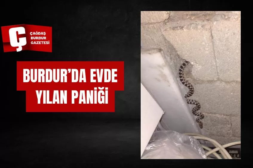 BURDUR'DA EVDE YILAN PANİĞİ 