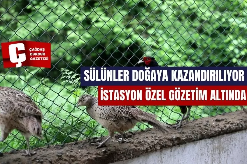 İSTANBUL’DA ÜRETİLEN SÜLÜNLER DOĞAYA KAZANDIRILIYOR