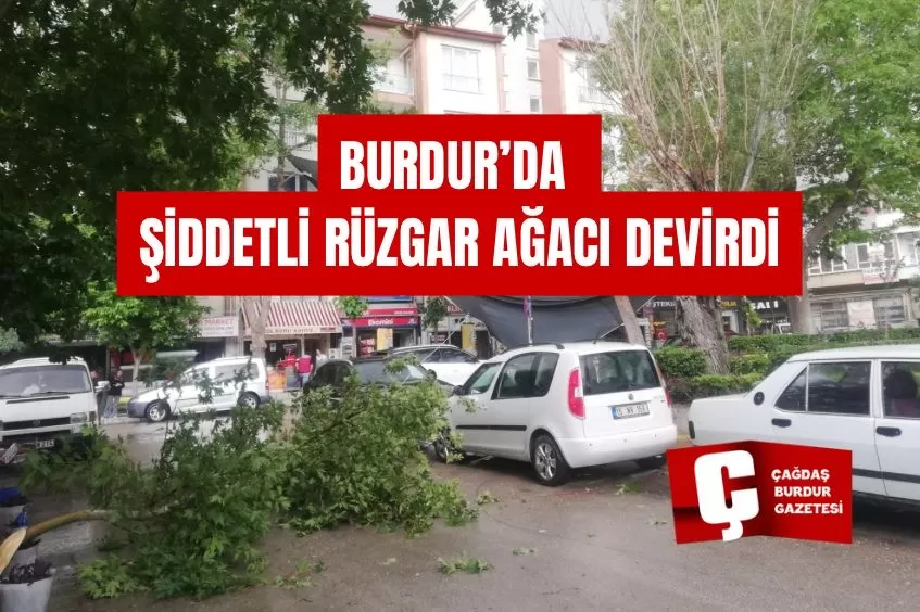 BURDUR'DA RÜZGAR VE YAĞMUR AĞAÇLARI DEVİRDİ