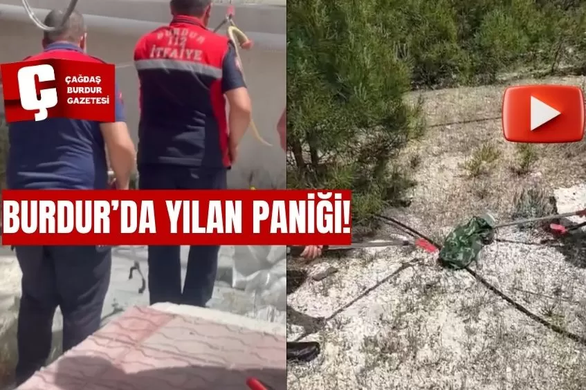 BURDUR MERKEZİNDE YILAN PANİĞİ! 