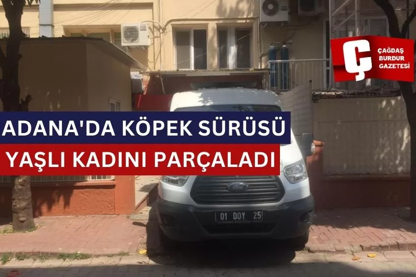 ADANA'DA KÖPEK SÜRÜSÜ YAŞLI KADINI PARÇALADI