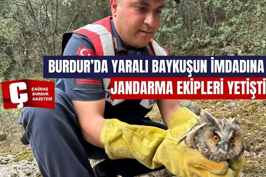 BURDUR’DA YARALI BAYKUŞUN İMDADINA JANDARMA EKİPLERİ YETİŞTİ