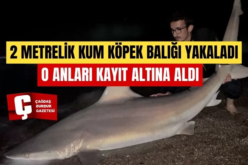 OLTAYLA YAKALADIĞI 2 METRELİK KUM KÖPEK BALIĞINI DENİZE BIRAKTI