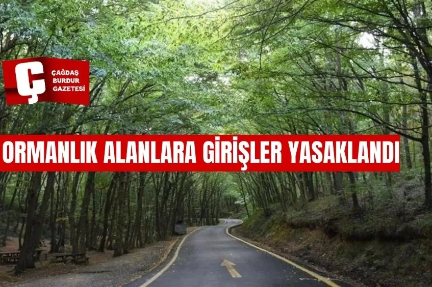 İSTANBUL'DA ORMANLIK ALANLARA GİRİŞLER YASAKLANDI