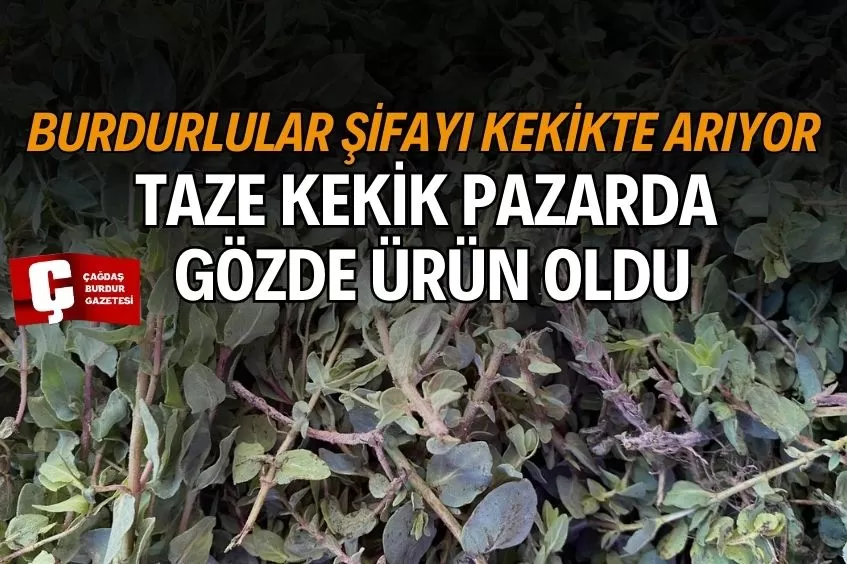 DOĞAL ŞİFA KAYNAĞI KEKİK BURDUR PAZARLARINDA YOĞUN İLGİ GÖRÜYOR