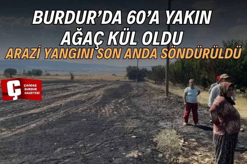 BURDUR’DA ARAZİDE YANGIN PANİĞİ: ÇOK SAYIDA AĞAÇ ZARAR GÖRDÜ