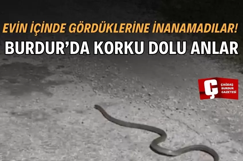 BURDUR’DA EVİN İÇİNE YILAN GİRDİ! 