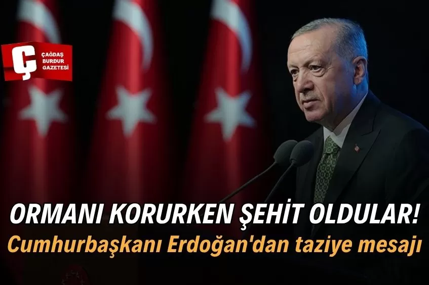 CUMHURBAŞKANI ERDOĞAN'DAN ESKİŞEHİR'DEKİ ORMAN YANGININA MÜDAHALEDE ŞEHİT OLANLAR İÇİN BAŞSAĞLIĞI MESAJI