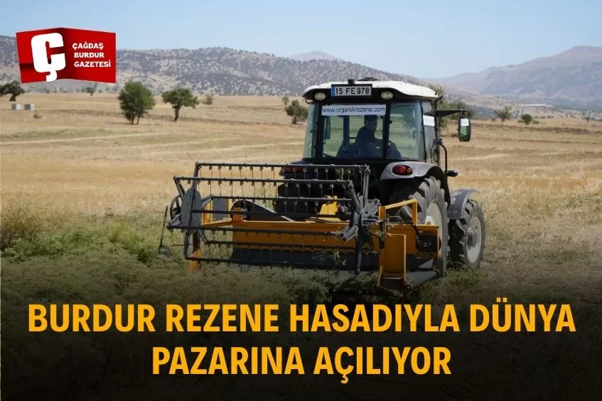 ALTIN TOHUM REZENE, BURDUR’UN TARIM GÜCÜNÜ KÜRESEL ARENAYA TAŞIYOR