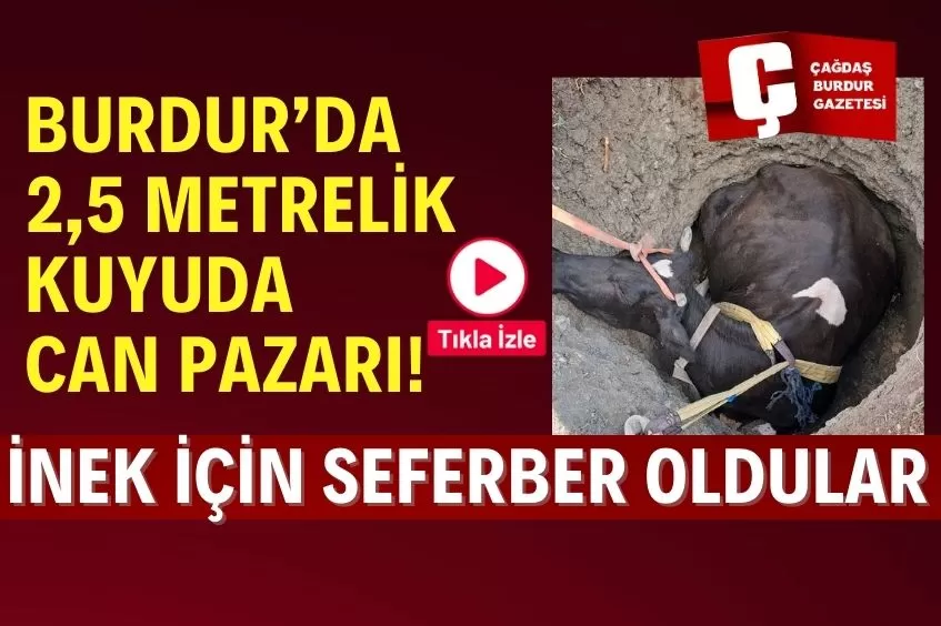 BURDUR'DA İNEK KUYUYA DÜŞTÜ