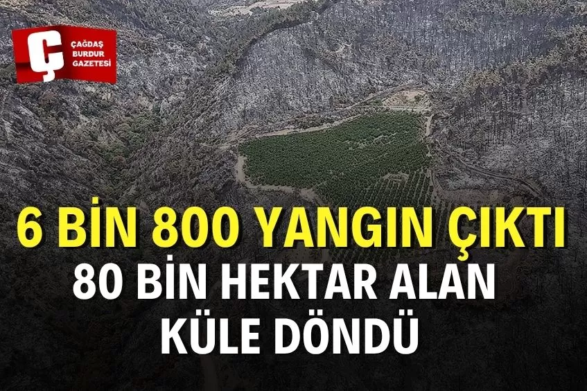 BU YIL ÇIKAN 6 BİN 800 ORMAN YANGININDA TOPLAM 80 BİN HEKTAR ALAN YANDI