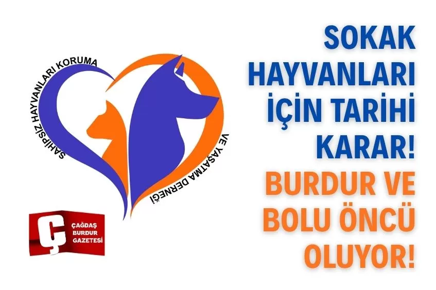 SAHİPSİZ HAYVANLAR İÇİN UMUT IŞIĞI! BURDUR VE BOLU’DA YENİ DÖNEM BAŞLIYOR!