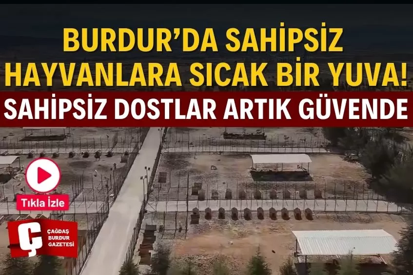 BURDUR’DA SAHİPSİZ HAYVANLAR İÇİN SICAK BİR YUVA KURULDU