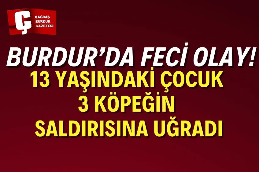 BURDUR'DA 13 YAŞINDAKİ ÇOCUK, 3 KÖPEĞİN SALDIRISINA UĞRADI