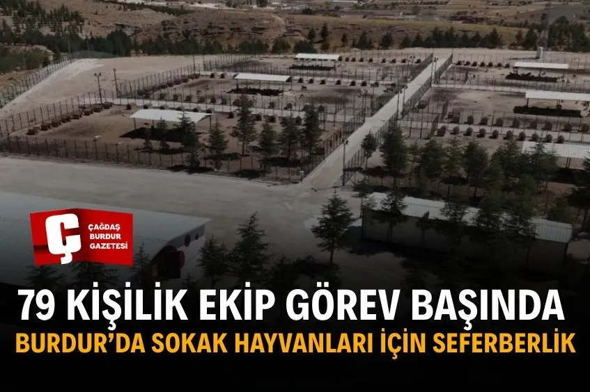 BURDUR’DA SAHİPSİZ HAYVANLAR İÇİN YOĞUN ÇALIŞMA YAPILIYOR