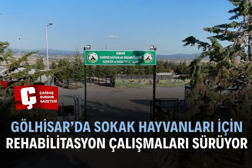 BURDUR'DA SOKAK HAYVANLARI İÇİN REHABİLİTASYON VE BAKIM ÇALIŞMALARI DEVAM EDİYOR