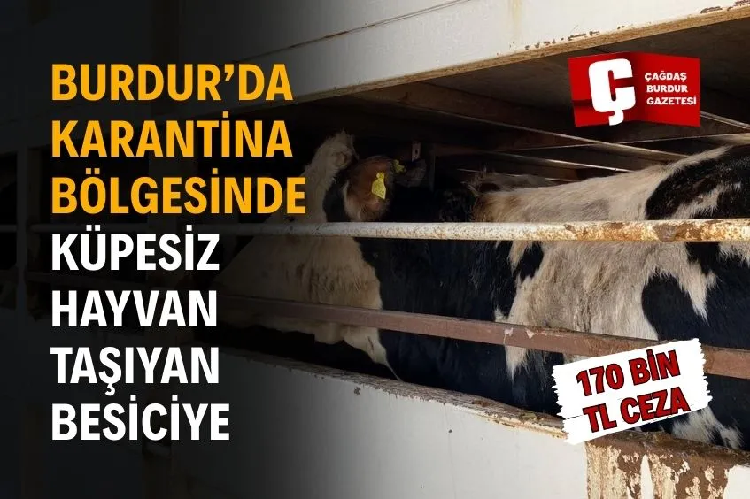 BURDUR'DA ŞAP KARANTİNASINDAKİ HAYVANLARI İZİNSİZ TAŞIYAN BESİCİYE CEZA YAĞDI
