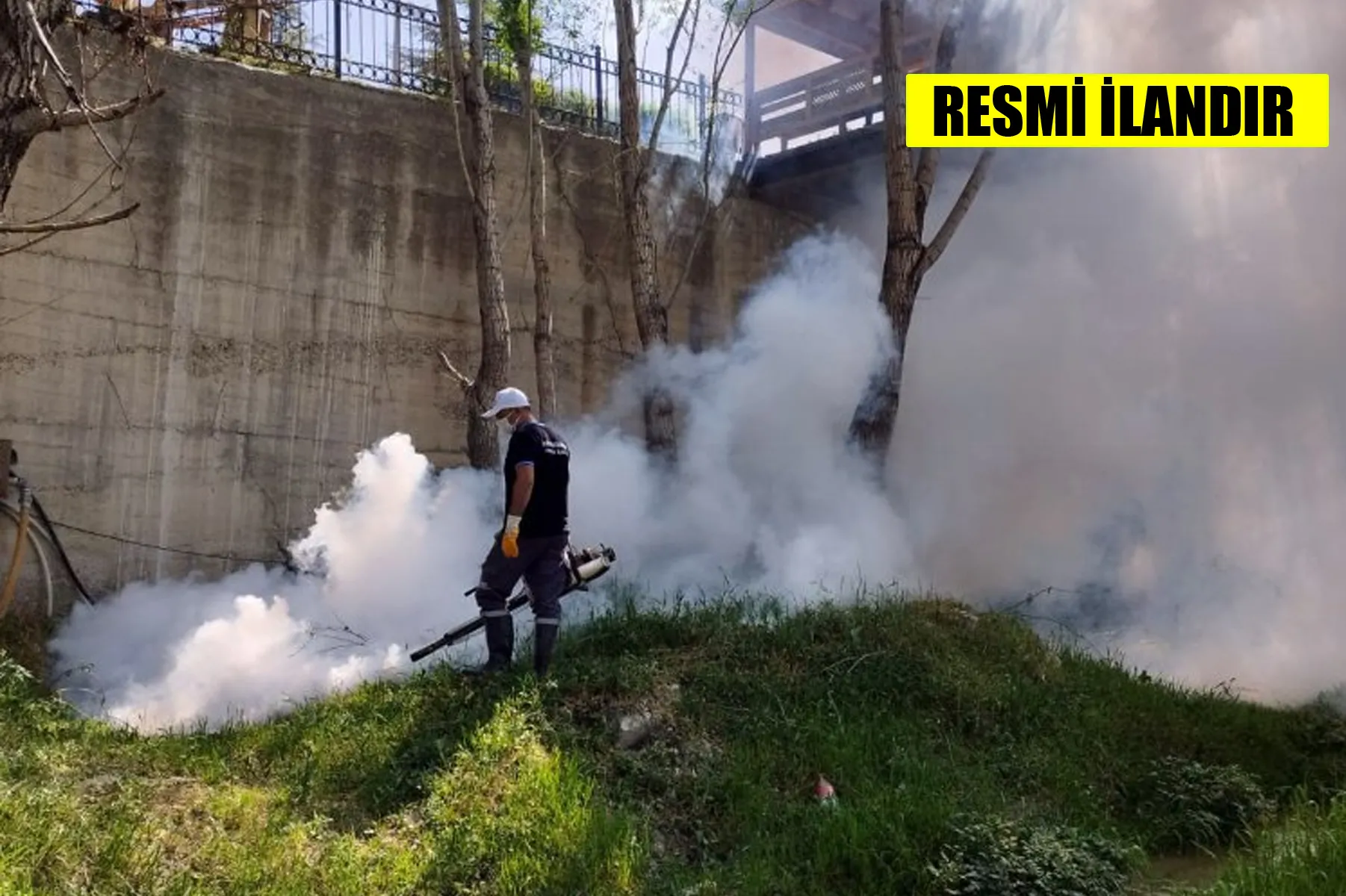 LARVA VE UÇKUN MÜCADELESİ İÇİN  İLAÇLAMA HİZMETİ ALINACAKTIR