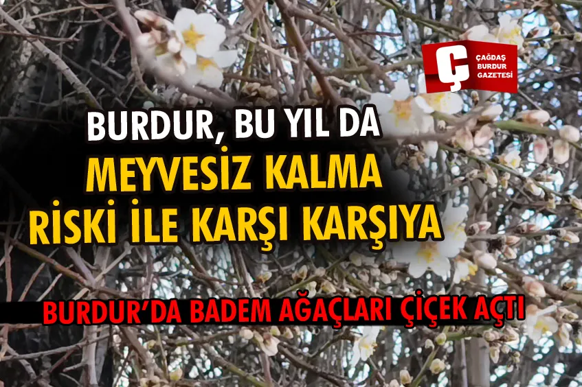 BURDUR’DA BADEM AĞAÇLARI ÇİÇEK AÇTI