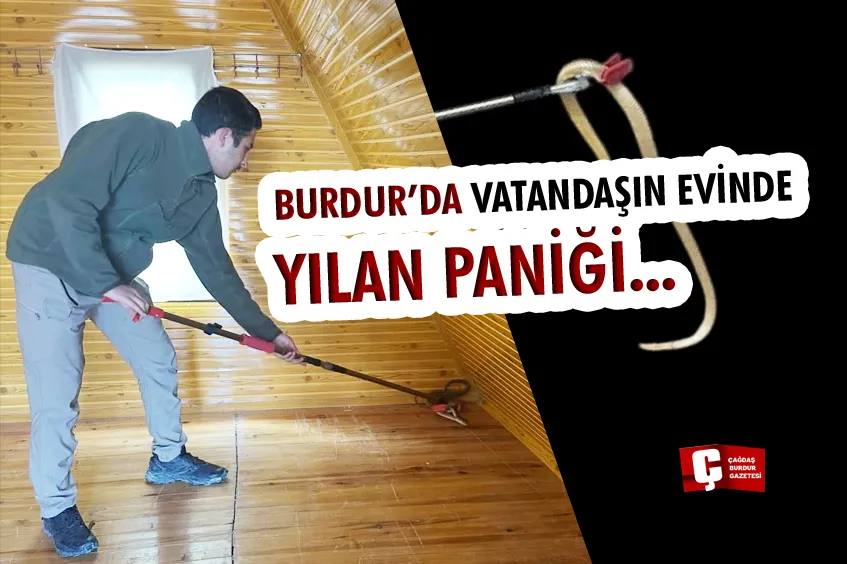 BURDUR'DA EVE GİREN 'HAZER YILANI' DOĞAYA SALINDI  