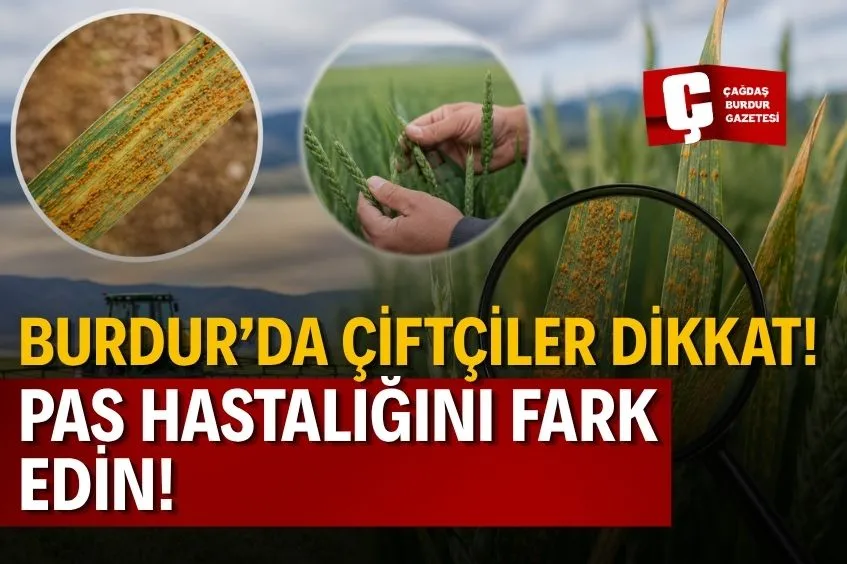 BURDUR’DA ÇİFTÇİLER DİKKAT! PAS HASTALIĞINI FARK EDİN!