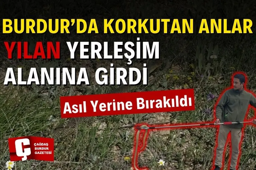 BURDUR’DA YERLEŞİM ALANINA GİREN YILAN YAKALANDI
