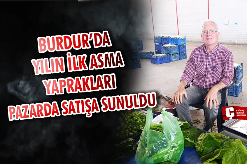 BURDUR’DA YILIN İLK ASMA YAPRAKLARI PAZARDA SATIŞA SUNULDU