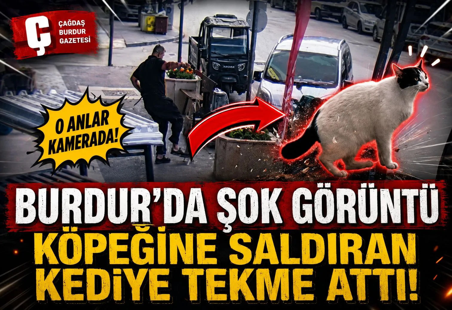 BURDUR’DA KÖPEĞİNE SALDIRAN KEDİYE TEKME ATTI, O ANLAR KAMERAYA YANSIDI