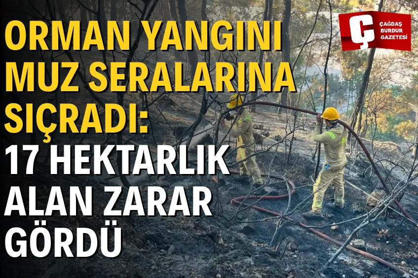 ORMAN YANGINI MUZ SERALARINA SIÇRADI: 17 HEKTARLIK ALAN ZARAR GÖRDÜ