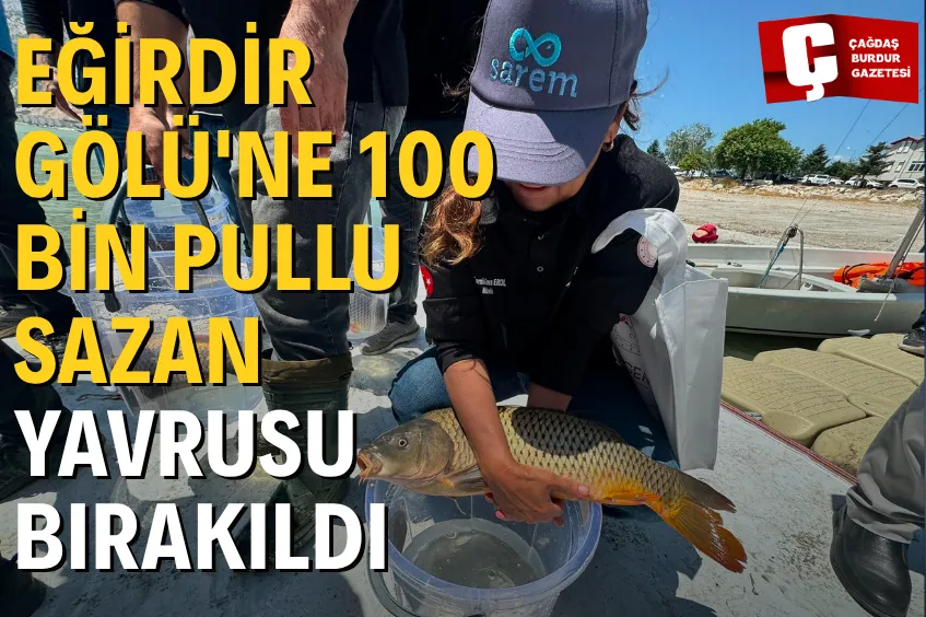EĞİRDİR GÖLÜ'NE 100 BİN PULLU SAZAN YAVRUSU BIRAKILDI