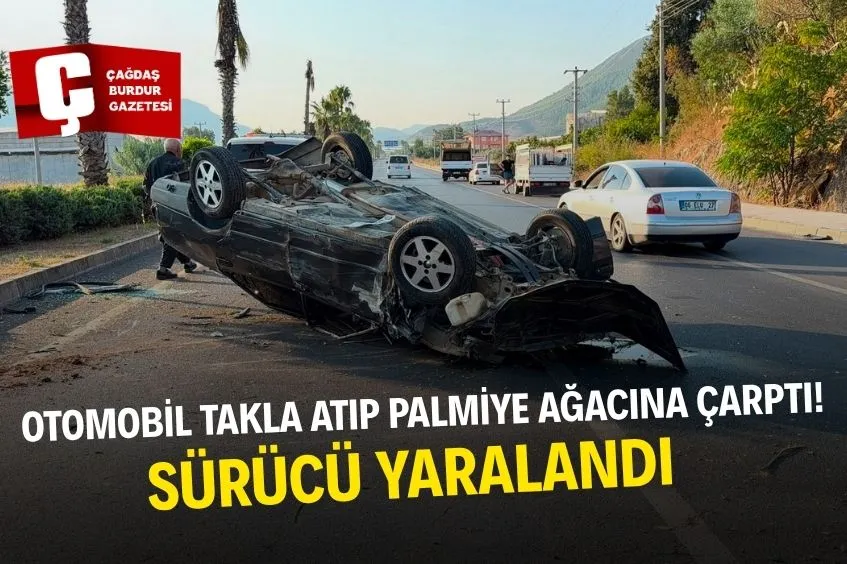 TAKLA ATAN OTOMOBİL PALMİYE AĞACINA ÇARPTI: 1 YARALI